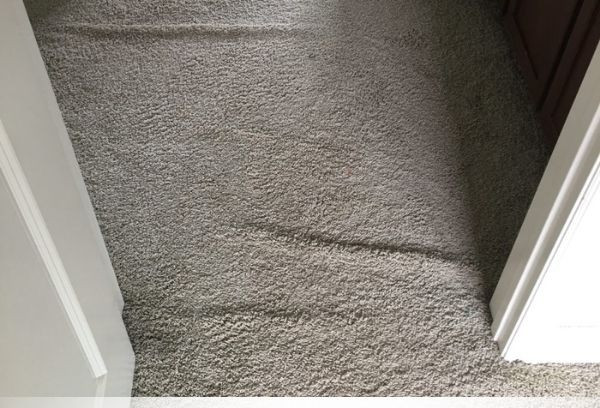 DIY Carpet Wrinkle Repair: A Step-by-Step Tutorial